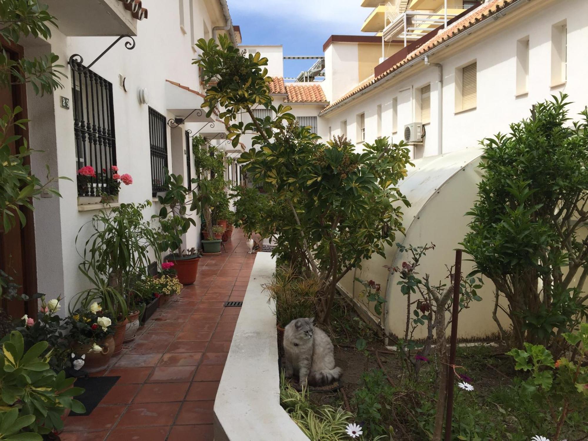 El Cortijuelo. Magnificent Triplex Terraced House With Rooftop Of 18M2, Overlooking The Sea. Parking Torremolinos Eksteriør billede